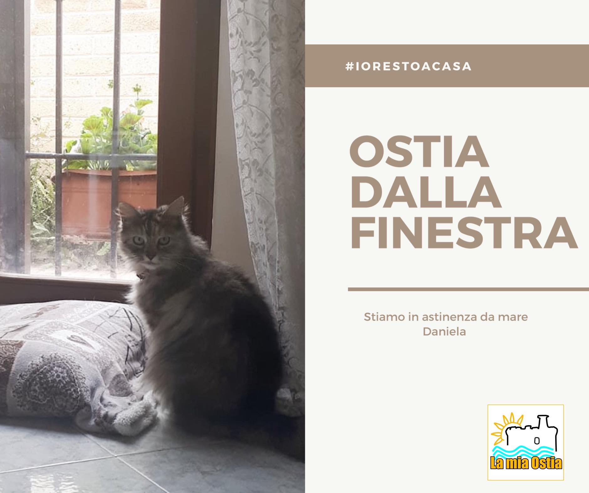 Ostia dalla finestra: mese di marzo